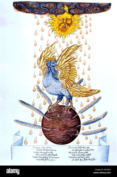 hermes birds|the bird of hermes is my name.